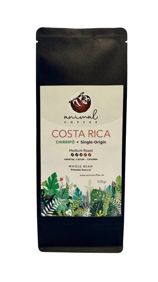 Chirripó - Die "fruchtige" Bohne