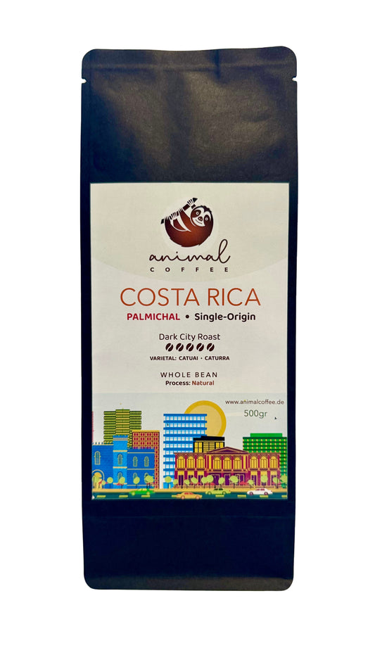 Palmichal - Die "schokoladige" Bohne